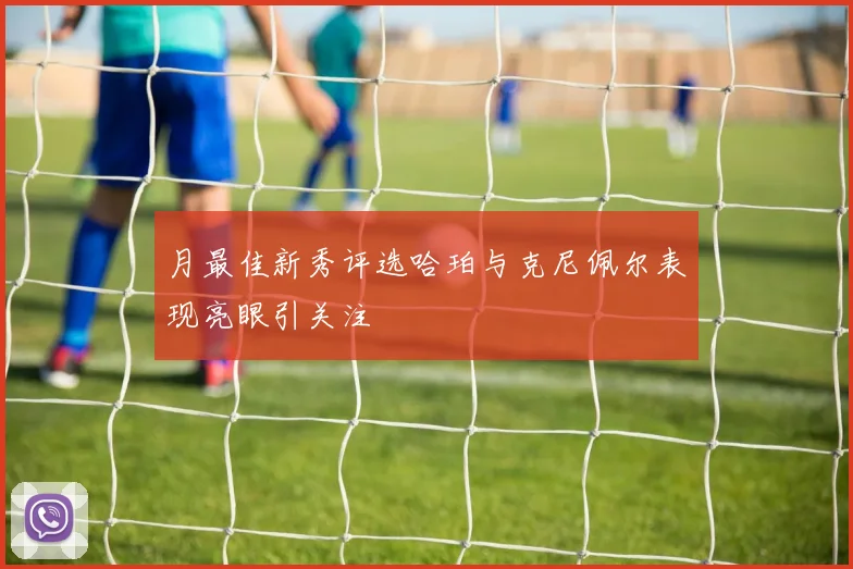 月最佳新秀评选哈珀与克尼佩尔表现亮眼引关注