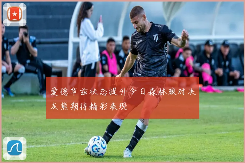 爱德华兹状态提升今日森林狼对决灰熊期待精彩表现